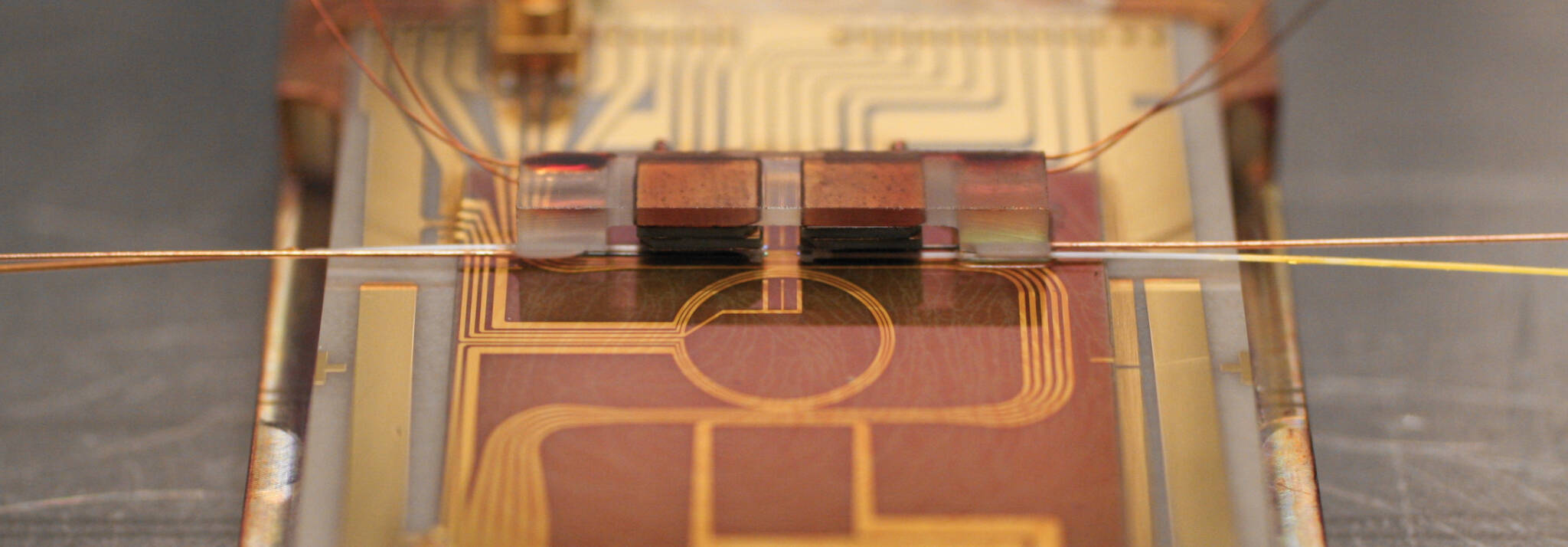 Trapped Atom Clock on a Chip (TACC) - Atom chips